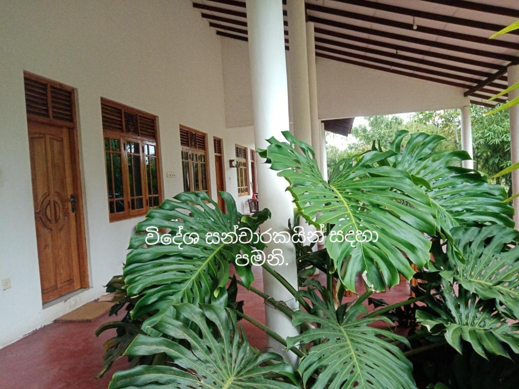 Ruins Villa Polonnaruwa Esterno foto